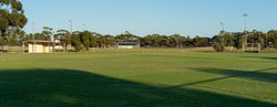 thumb Oval