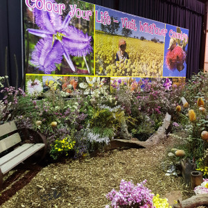 Wildflower Show